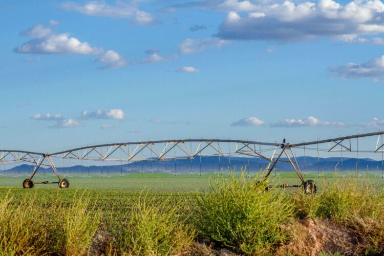 Promueve Secretaría Agricultura tecnologías para uso eficiente del agua