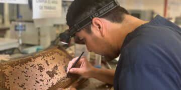 Desarrolla UAT bioinsecticida para combatir plagas que afectan la apicultura