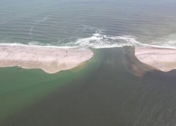 Cordón litoral del sur de Tamaulipas debe ser reparado pronto