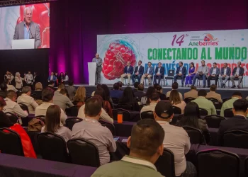 Aumento global de demanda de frutillas, oportunidad para México: secretario Villalobos