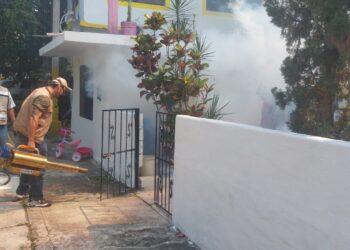 Refuerza SST campaña intensiva contra el dengue en Tamaulipas