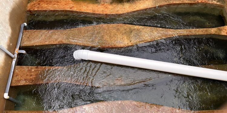 Busca COMAPA Victoria estrategias para dar servicio a sectores Tamatán y Echeverría