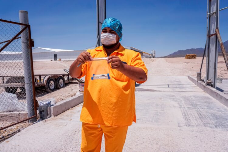 Concluye SENASICA emergencia sanitaria por influenza aviar AH5N1 en México