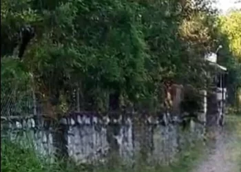 Hallan cuatro cuerpos en quinta en Montemorelos, Nuevo León