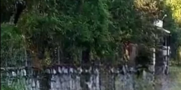 Hallan cuatro cuerpos en quinta en Montemorelos, Nuevo León