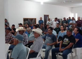 Sorgueron de Tamaulipas regresarán a bloqueos carreteros en agosto; se cansan de esperar apoyo emergente