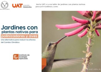 Enseñará la UAT a crear espacios ecológicos para especies polinizadoras