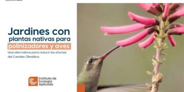 Enseñará la UAT a crear espacios ecológicos para especies polinizadoras