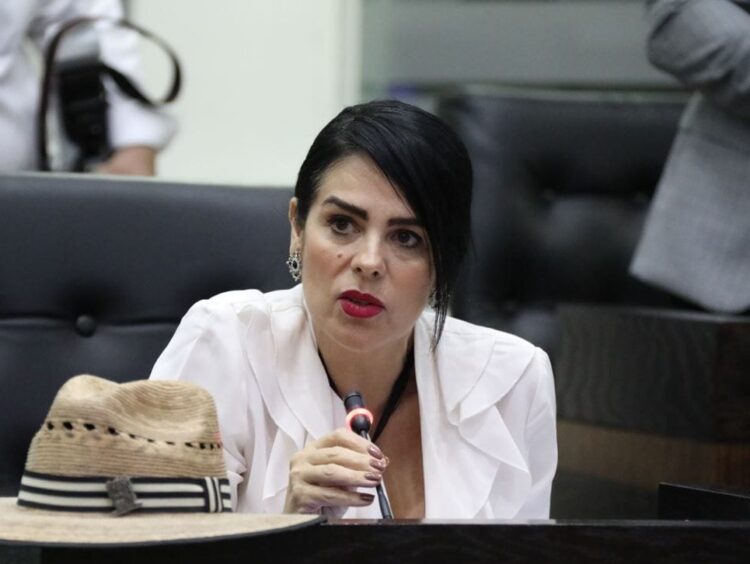 Plantea Diputada exhorto a 43 alcaldes tamaulipecos para limpiar drenes pluviales