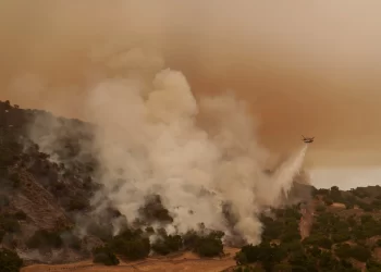 Crisis de Calor: EE.UU. enfrenta temperaturas sin precedentes y riesgos asociados