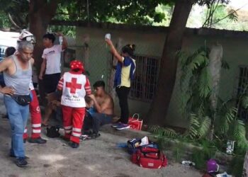 Un muerto y 17 lesionados por ataques de abejas en Sinaloa