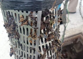 Demanda COMAPA sanción a  empresa minera por dañar su equipo