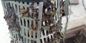 Demanda COMAPA sanción a  empresa minera por dañar su equipo