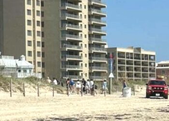 Celebración familiar se vuelve tragedia tras ataque de tiburón en Texas