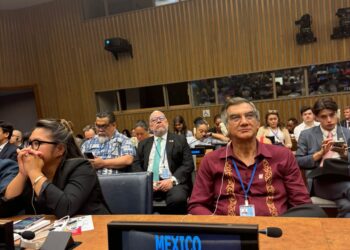 Asiste AVA al Informe Nacional Voluntario de México en la ONU