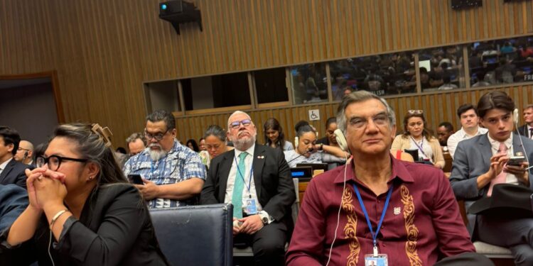 Asiste AVA al Informe Nacional Voluntario de México en la ONU