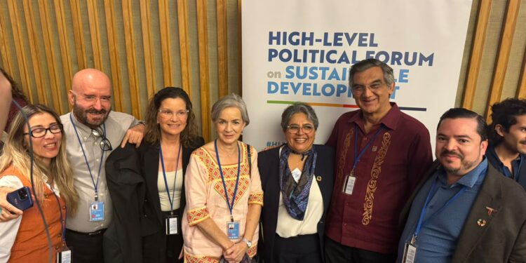 Asiste AVA al Informe Nacional Voluntario de México en la ONU