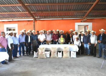 Reciben insumos productores pecuarios del altiplano