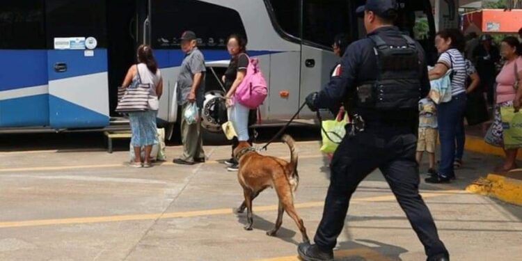 Vigila Guardia Estatal las centrales de autobuses