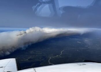 Incendio descontrolado en Terranova y Labrador obliga a evacuaciones masivas