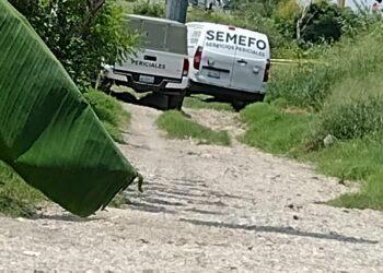 Matan a golpes a sujeto en la Colonia Bertha del Avellano, en Victoria