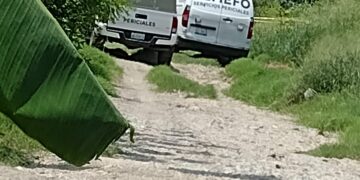 Matan a golpes a sujeto en la Colonia Bertha del Avellano, en Victoria