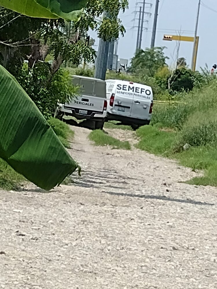 Matan a golpes a sujeto en la Colonia Bertha del Avellano, en Victoria