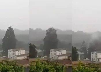 Rayo hace explotar un árbol en Francia