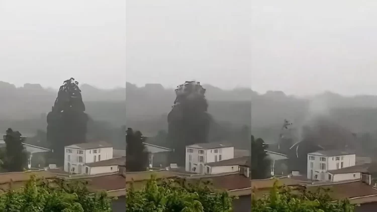 Rayo hace explotar un árbol en Francia