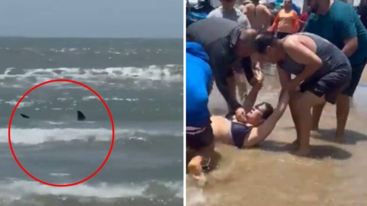 Emergencia en Isla del Padre: Turistas rescatan a dos bañistas tras ataque de tiburón