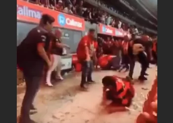 Investigación de oficio por riñas en el Xolos vs Chivas: FMF toma medidas