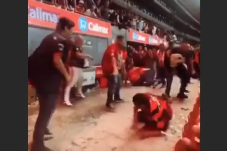 Investigación de oficio por riñas en el Xolos vs Chivas: FMF toma medidas