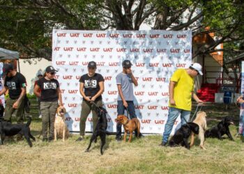 Pondrá la UAT en adopción héroes caninos retirados de Fuerzas de Seguridad