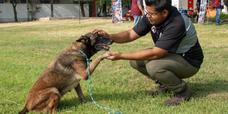 Pondrá la UAT en adopción héroes caninos retirados de Fuerzas de Seguridad