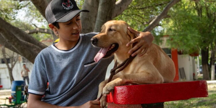 Pondrá la UAT en adopción héroes caninos retirados de Fuerzas de Seguridad