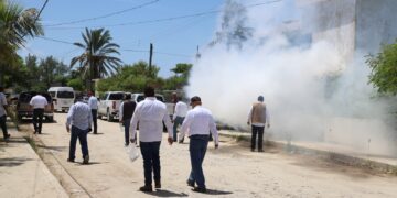 Actualiza Secretaría de Salud al personal médico sobre epidemia del dengue