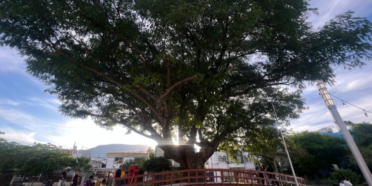 Se consolida Cd. Victoria como “Barrio Mágico”; recibió 93 mil turistas en verano