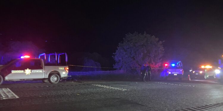 Camioneta arrolla y mata a un trailero en la carretera Victoria-Zaragoza