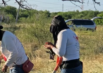 Hallan restos de osamentas humanas en dos predios de Reynosa y Matamoros