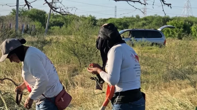 Hallan restos de osamentas humanas en dos predios de Reynosa y Matamoros