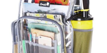 Sugieren Diputados uso de mochilas transparentes en escuelas de Tamaulipas