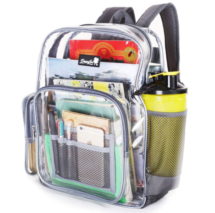 Sugieren Diputados uso de mochilas transparentes en escuelas de Tamaulipas