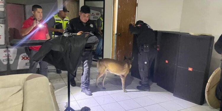 Desalojan discoteca “El Chaparral” de Cd. Victoria por reporte de amenaza de bomba