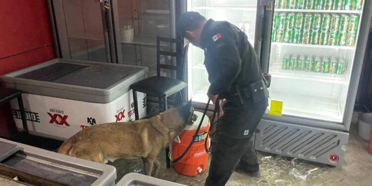 Desalojan discoteca “El Chaparral” de Cd. Victoria por reporte de amenaza de bomba