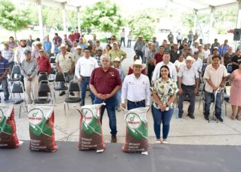 Reciben productores agrícolas de Soto la Marina semilla de sorgo y maíz