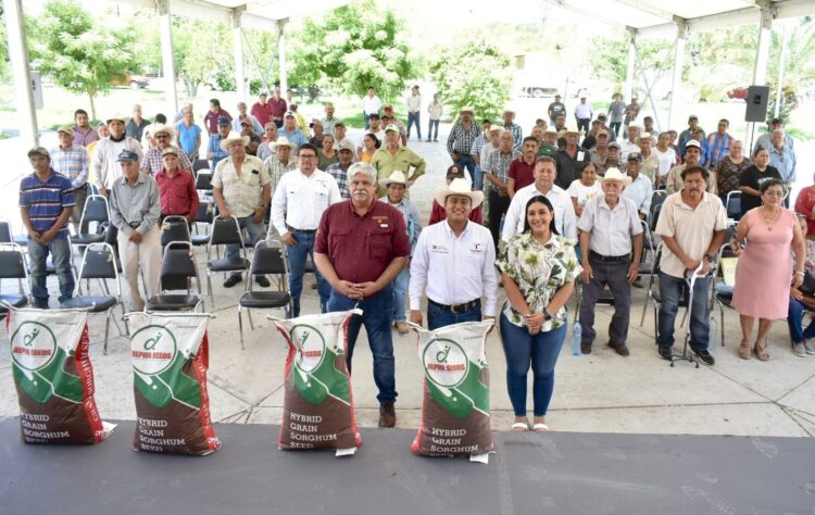 Reciben productores agrícolas de Soto la Marina semilla de sorgo y maíz