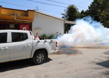 Refuerza Gobierno de Tamaulipas fumigación y albanización para prevención del dengue