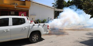 Refuerza Gobierno de Tamaulipas fumigación y albanización para prevención del dengue
