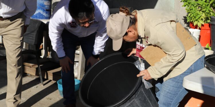 Refuerza Gobierno de Tamaulipas fumigación y albanización para prevención del dengue