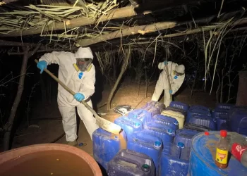 Detienen a 550 sospechosos de delitos y 43 presuntos integrantes de la delincuencia organizada